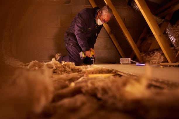 Best Residential Insulation in Cadott, WI